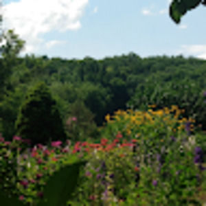 Meet your Posher, Tasha